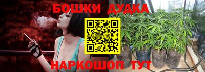 спиды Заводоуковск