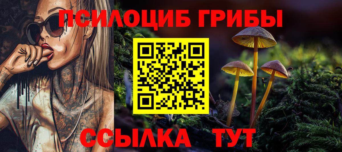 Галлюциногенные грибы прущие грибы Аксай