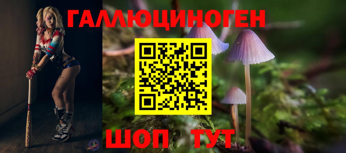 Галлюциногенные грибы Psilocybine cubensis  Псилоцибиновые грибы ЛСД  Аксай  Вход с VPN 
